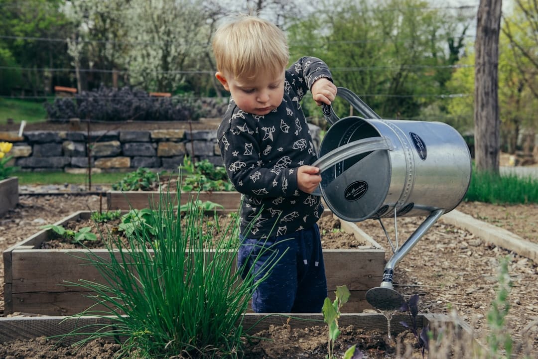 Photo Community garden