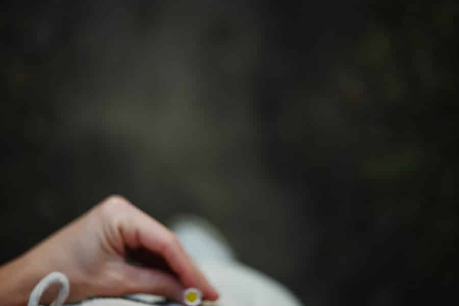 Photo Vrijwilligerswerk