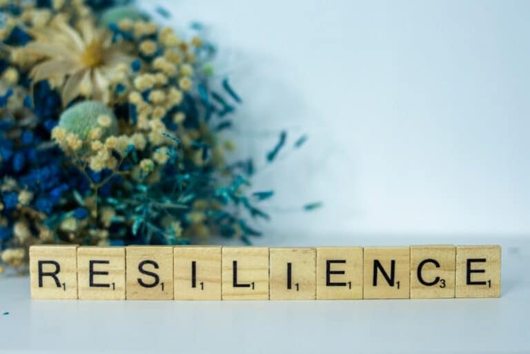 Photo resilience